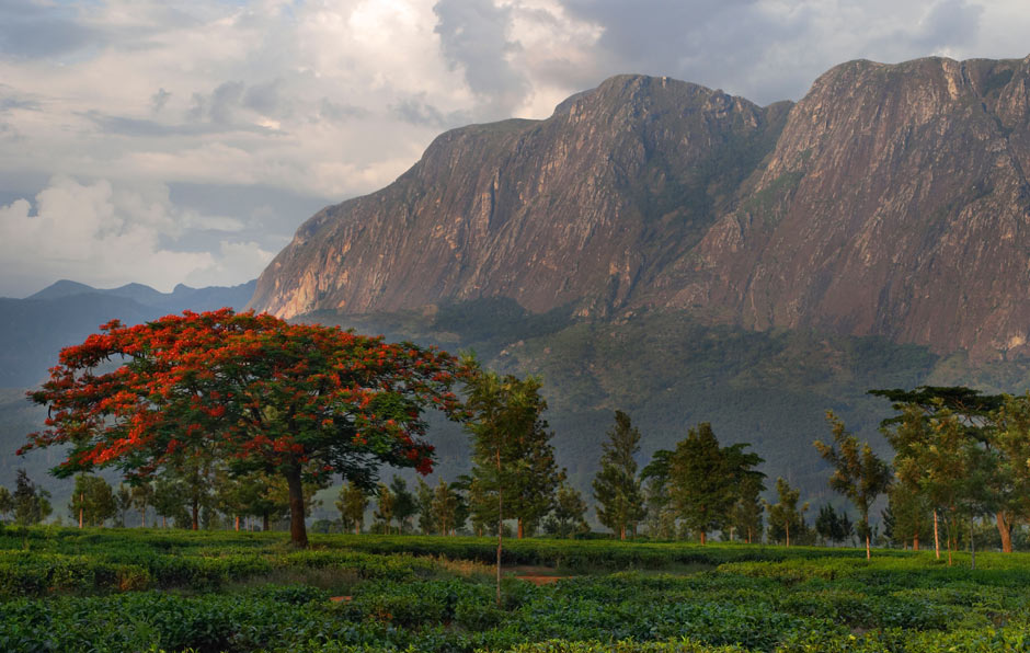 Mount Mulanje Malawi